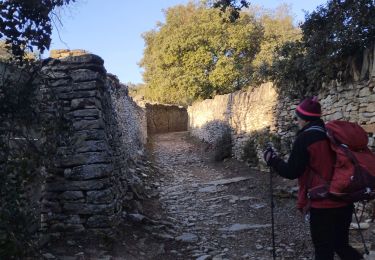 Trail Walking Gordes - Gordes Sénanque  - Photo