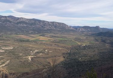 Tour Wandern Laroque - Le Thaurac - Photo