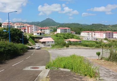 Tour Wandern Le Vauclin - Boucle Pointe Faula Maroquet  Pte Grenade - Photo