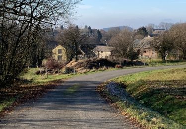 Excursión Senderismo La Roche-en-Ardenne - Entre pierze, l’alu, plateau des tailles, belva et les pierris  - Photo