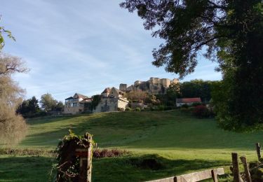 Tour Wandern Calviac-en-Périgord - Ronde des Villages, dimanche - Photo