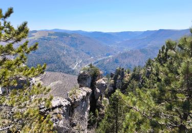 Tocht Stappen Ispagnac - Salancon/ Le Rocher de la Table/ Lonjagnes - Photo