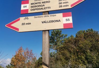 Trail Walking Bordighera - bordighera - Photo