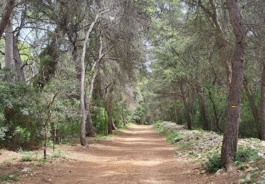 Tocht Stappen Vic-la-Gardiole - Circuit des salines  - Photo