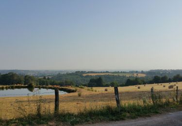 Trail Walking Bosmie-l'Aiguille - charroux - Photo