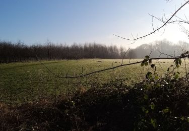 Tour Wandern Hoeilaart - Hoeilaart-Tervuren 2020 01 21 Groene Gordel 3 - Photo