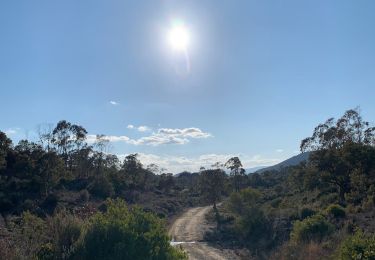 Excursión Senderismo Fréjus - z vers Malpasset 25-01-22 - Photo