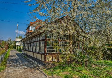 Tocht Te voet Hofheim am Taunus - Rundwanderweg Reh - Photo