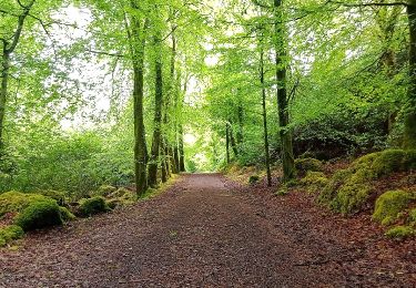 Tour Zu Fuß Sligo Municipal Borough District - Union Rock Trail - Photo