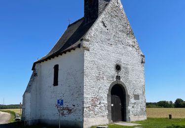 Excursión Senderismo Court-Saint-Étienne - RL-GG-22 - La Roche - Blanmont - 2025-02-08 - Photo