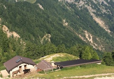 Tocht Te voet Esino Lario - Sentiero 37/39: Valle dei Mulini - Photo