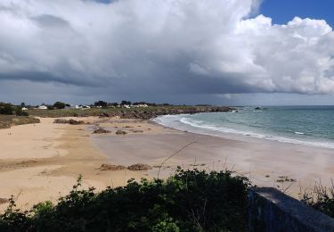 Randonnée A pied L'Île-d'Yeu - La Sente de La Meule - Photo