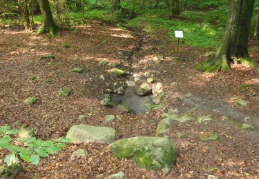 Tour Zu Fuß  - Storskiftet - Photo