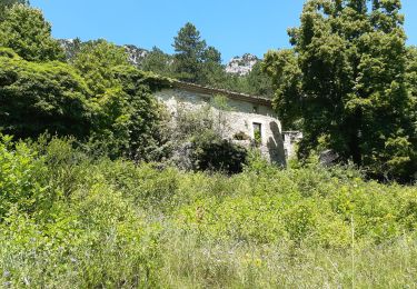 Trail Walking Saou - saou bergerie patuel auberge muletiers  - Photo