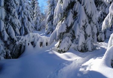 Trail Walking Haut Valromey - les bergonnes  - Photo