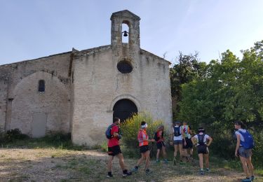 Randonnée Marche Cucuron - moutr - Photo