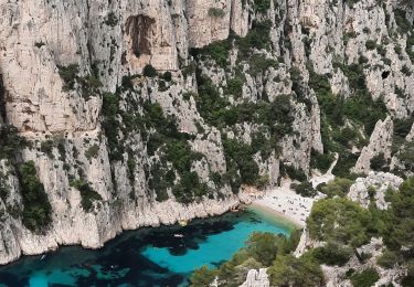 Tour Wandern Cassis - Calandre de Cassis - Photo