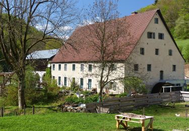 Trail On foot Hiltpoltstein - Großenohe Grünring - Photo