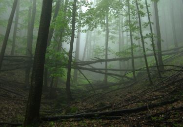 Tour Zu Fuß Kemence - P■, Rakottyás-bérc - Photo