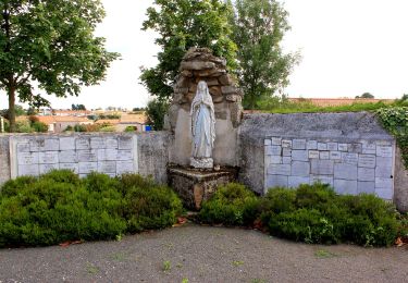 Percorso A piedi Saint-Lumine-de-Clisson - Circuit des Coteaux Luminais - Photo