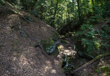 Tour Zu Fuß Spalt - 25 Hopfenwanderung - Photo