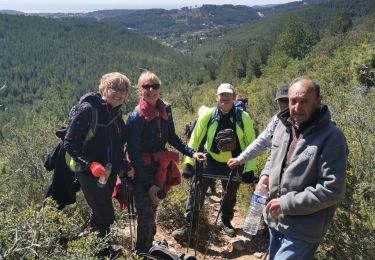 Tour Wandern Ollioules - Le gros cerveau - Photo