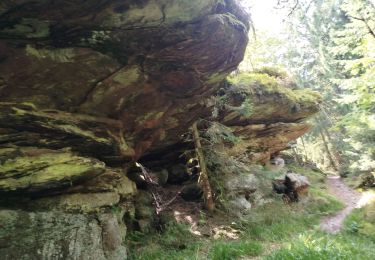 Trail Walking Saint-Jean-d'Ormont - marche de l'Ormont  - Photo