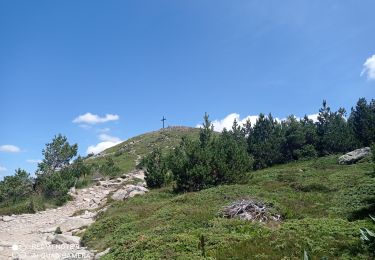 Randonnée Marche Chaudeyrolles - 43 le tour du MÃ©zenc et le sommet 12/07/23 - Photo