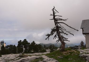 Tocht Stappen Arette - Col de Pescamou Arette La pierre St. Martin - Photo