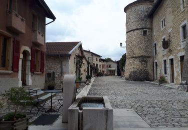 Trail Nordic walking Saint-André-en-Royans - Circuite en 8 autour de Saint-André-en-Royans - Photo