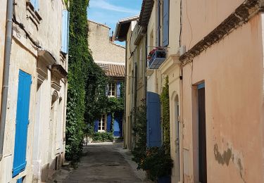 Percorso Cicloturismo Sauveterre - Sauveterre - Arles - Photo