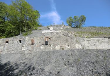 Randonnée A pied Eslohe - Wenholthausen Rundweg W1 - Photo