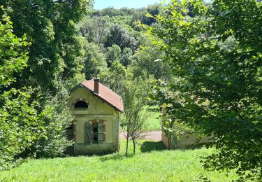 Trail Walking Champigneulles - Champigneulles  - Photo