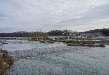 Tocht Te voet Rheinfelden - Rheinfelder Rheinuferweg - Photo