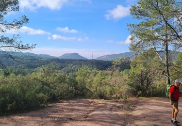 Randonnée Marche Bagnols-en-Forêt - Lac du Rioutard - Photo