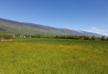 Excursión Paseo ecuestre Péron - Le près neuf  - Photo