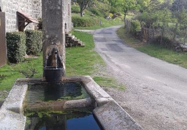 Trail Walking Pourchères - 2023-04-22_21h09m17_Boucle_Pourcheres___Rocher_d_Ajoux___Serre_de_Pied_de_Buf - Photo