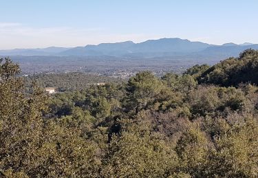 Trail Walking Saint-Maximin-la-Sainte-Baume - SAINT MAXIMIN LA SAINTE BAUME - AUTOUR DU DEFENS - Photo