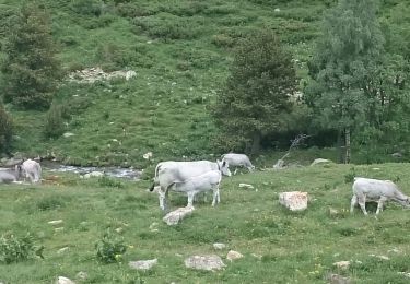 Randonnée Marche Eyne - Col de Nuria par vallée d'EYNE - Photo