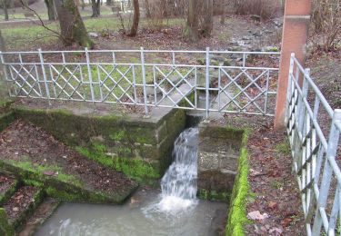 Percorso A piedi Hessisch Lichtenau - Rundwanderweg Hessisch Lichtenau HL1 - Photo