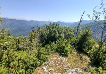 Tocht Stappen Saint-Martin-en-Vercors - Rocher de l'Allier - Photo