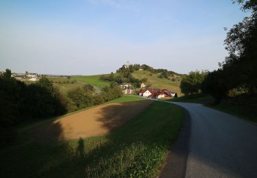 Percorso A piedi St. Margarethen an der Raab - Wanderweg 2 - Photo