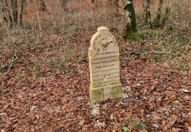 Trail Walking Vouthon-Haut - reco balade - Photo