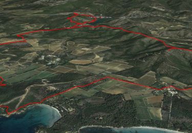 Tour Wandern Bormes-les-Mimosas - SityTrail - Bormes les Mimosas - Cap Léoube - Photo
