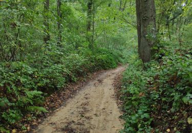 Tour Wandern Grez-Doiceau - Nethen - Photo