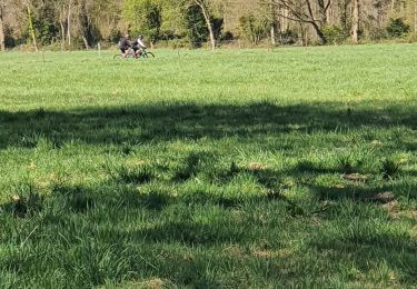 Trail On foot Anthisnes - Autour de Hestreux et Limont - Photo