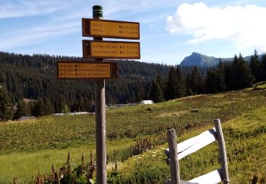 Trail Walking Livet-et-Gavet - Lac Fourchu  - Photo