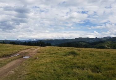 Trail Walking Aston - Plateau de Beille ory de Toudous - Photo