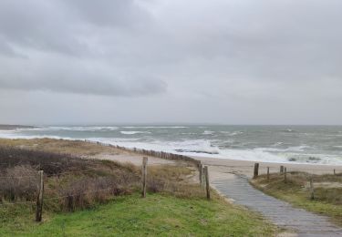 Randonnée Marche Plœmeur - Saint Jude - Les Kaolins - Fort Bloqué - Photo