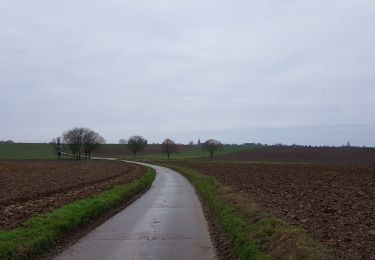 Randonnée Marche Liège - Rocourt > Liers - Photo